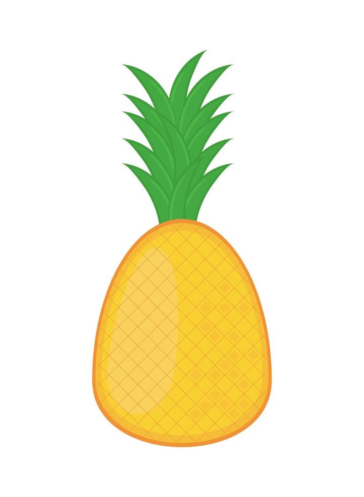 tropical pineapple icon vector