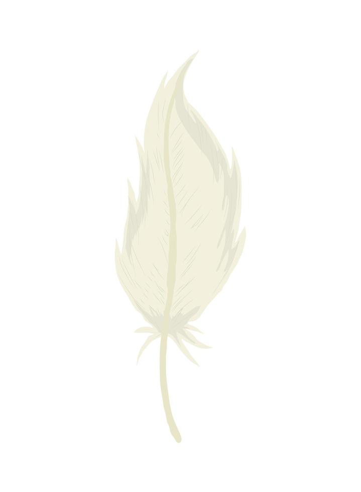 feather vector icon