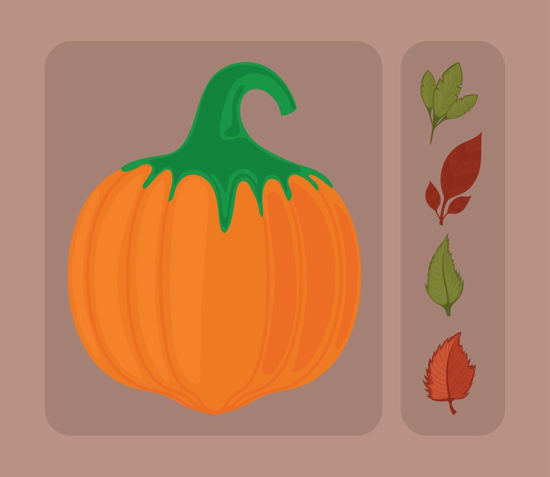 autumn pumpkin and leaf vector