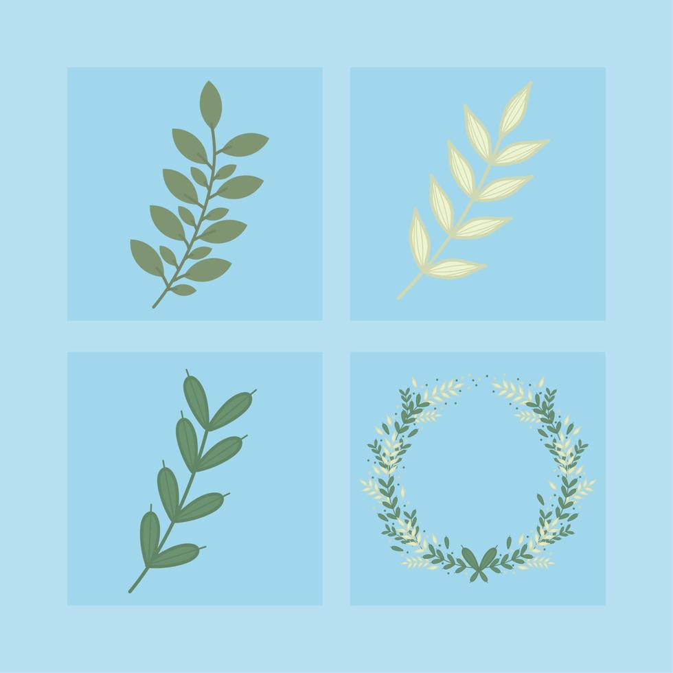 laurel wreath and branches vector