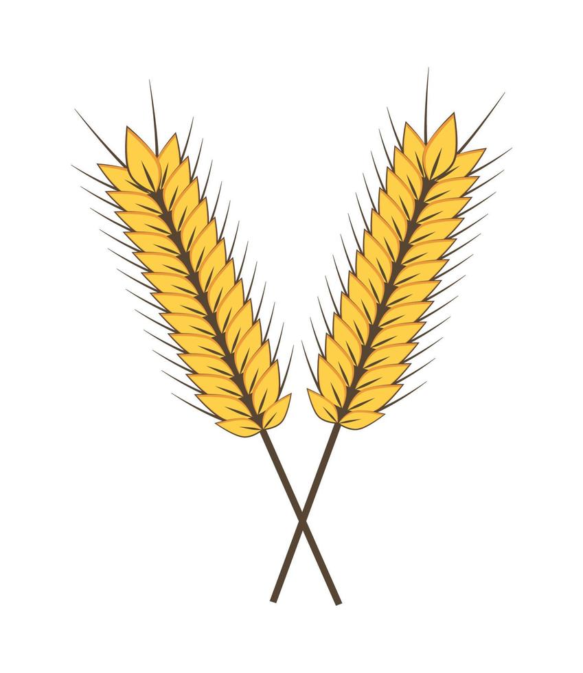 ears of wheat vector