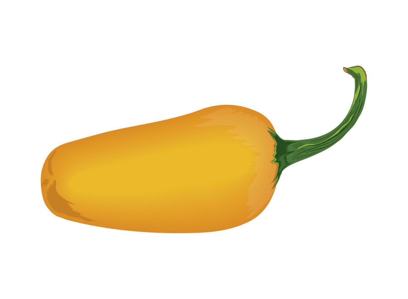 yellow chili pepper vegetable vector