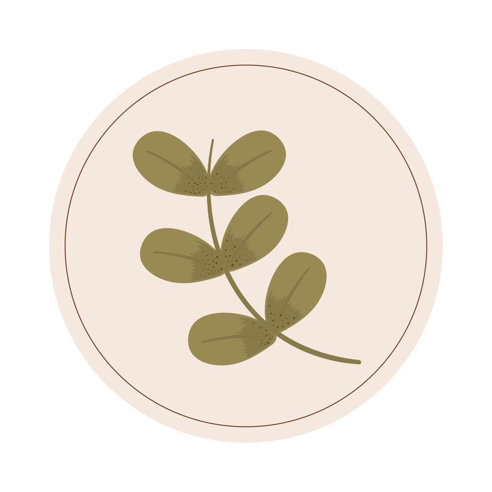 organic leaf icon vector