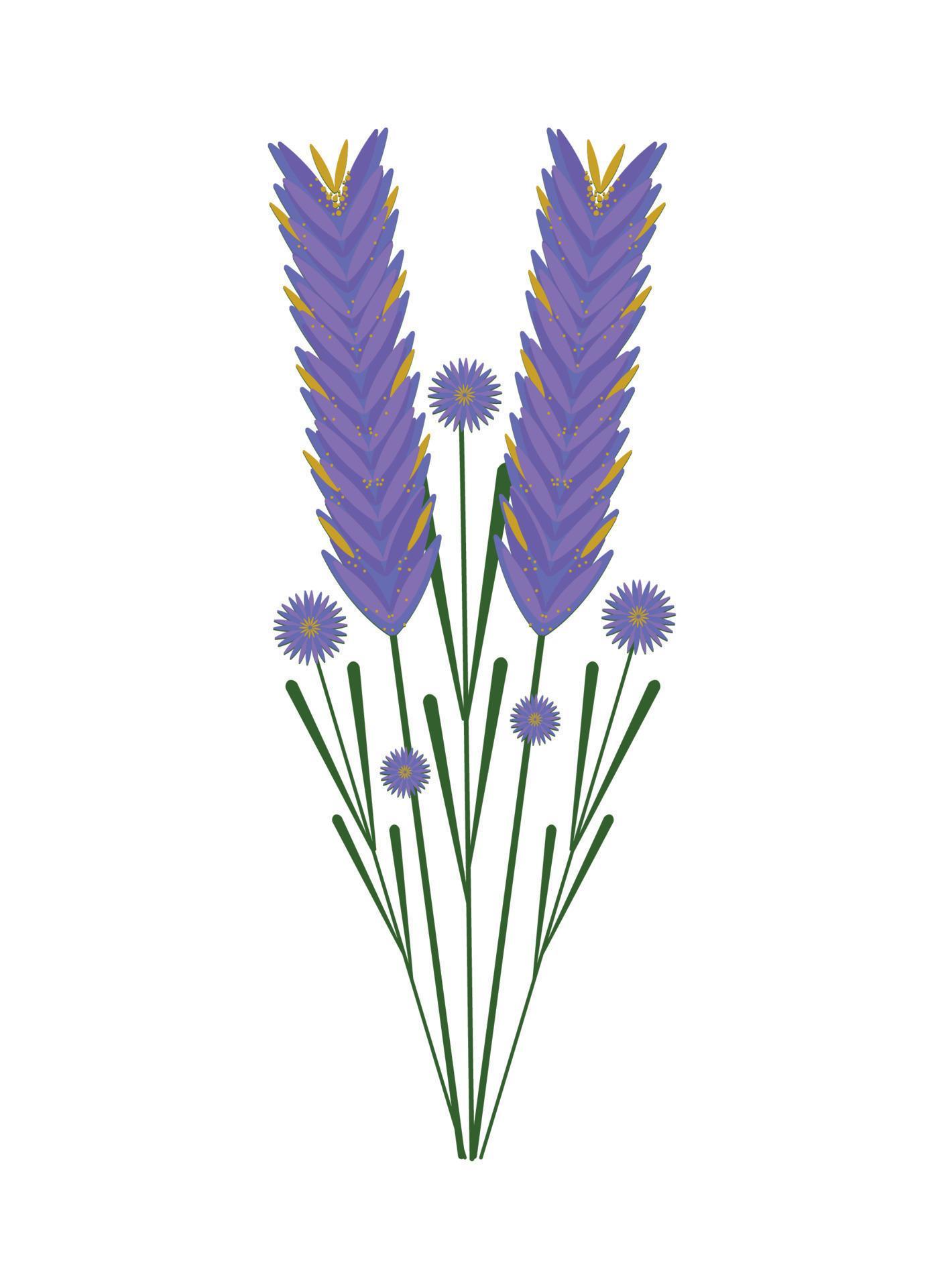purple flowers nature 10967875 Vector Art at Vecteezy