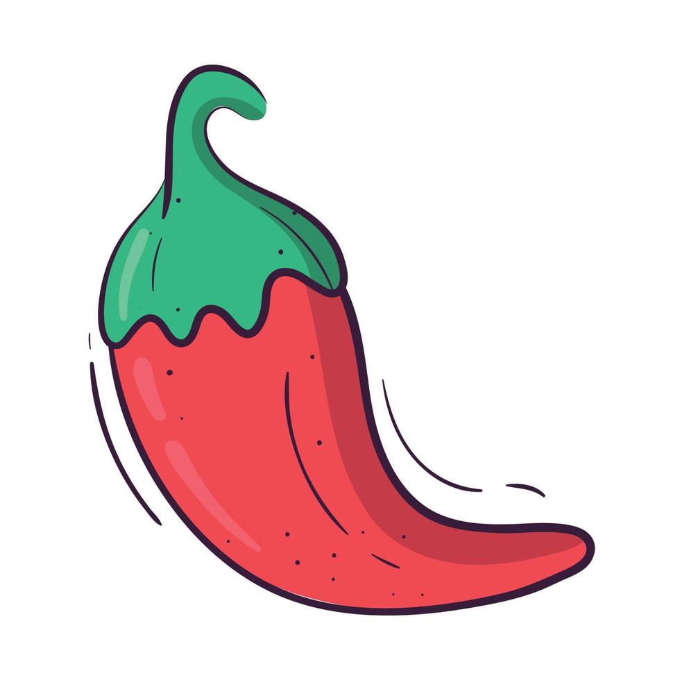 red chili pepper vector