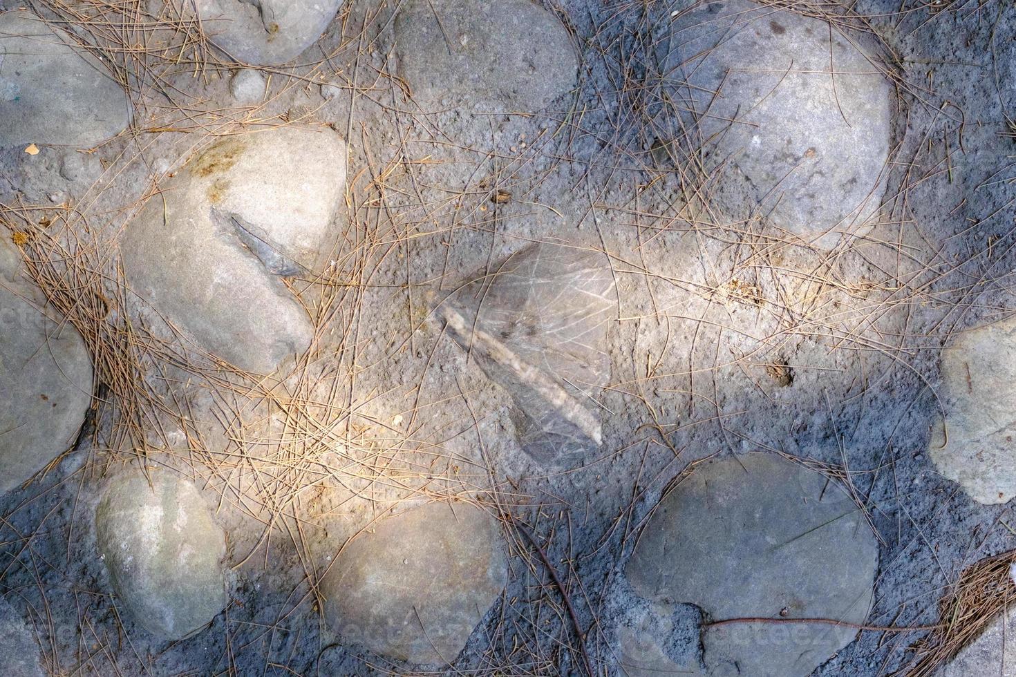 textura de suelo de piedra, patrón orgánico abstracto, fondo rocoso texturizado. foto