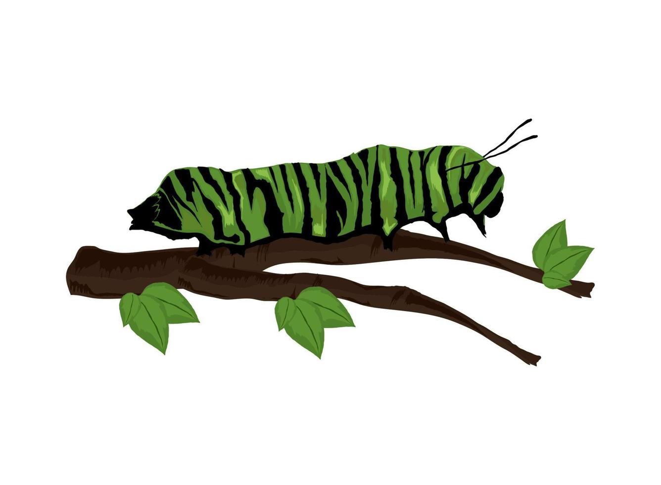 caterpillar on the branch vector