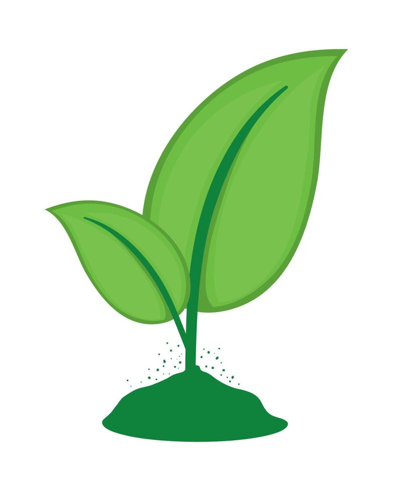 nature green leaves vector