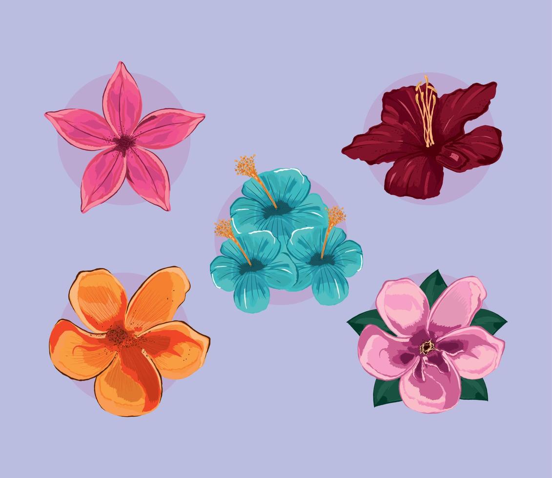 icons exotic flowers vector