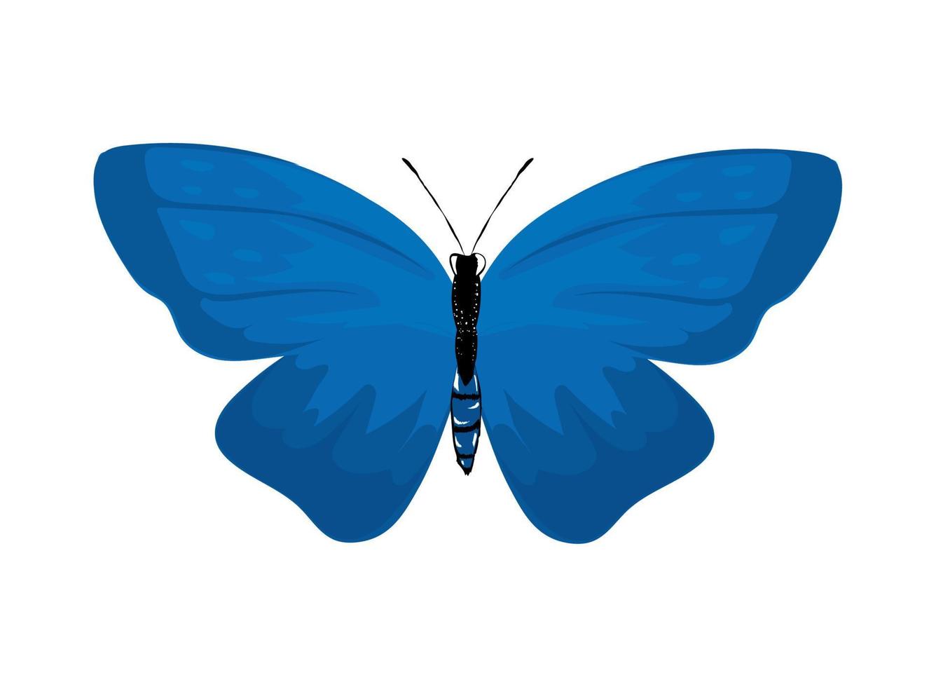 blue butterfly icon vector