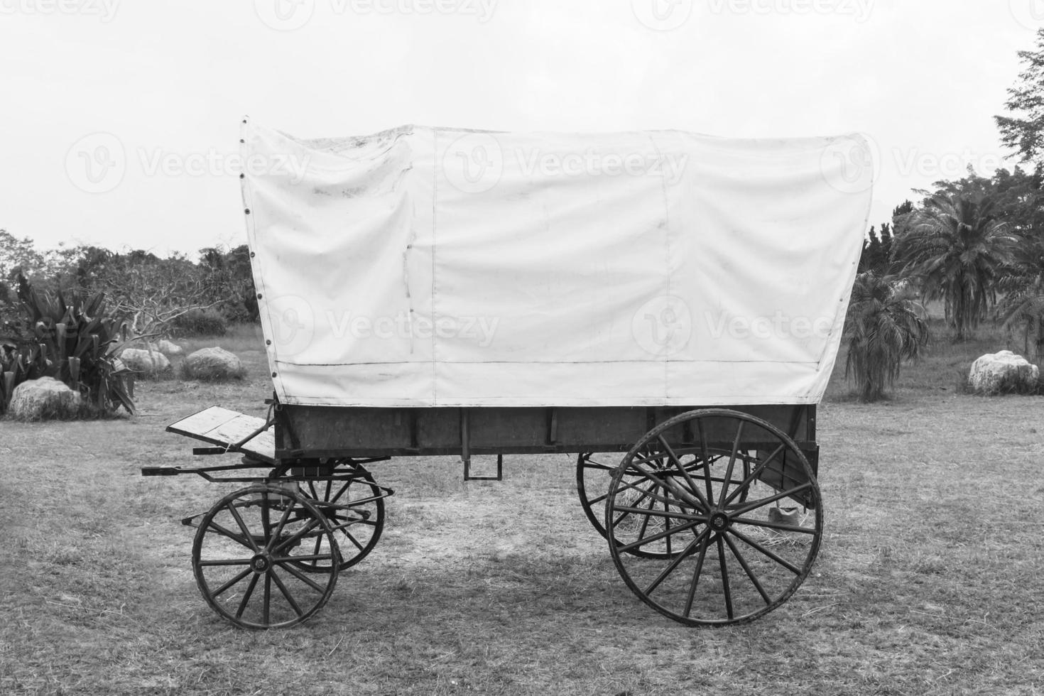 Black and White Covered wagon photo