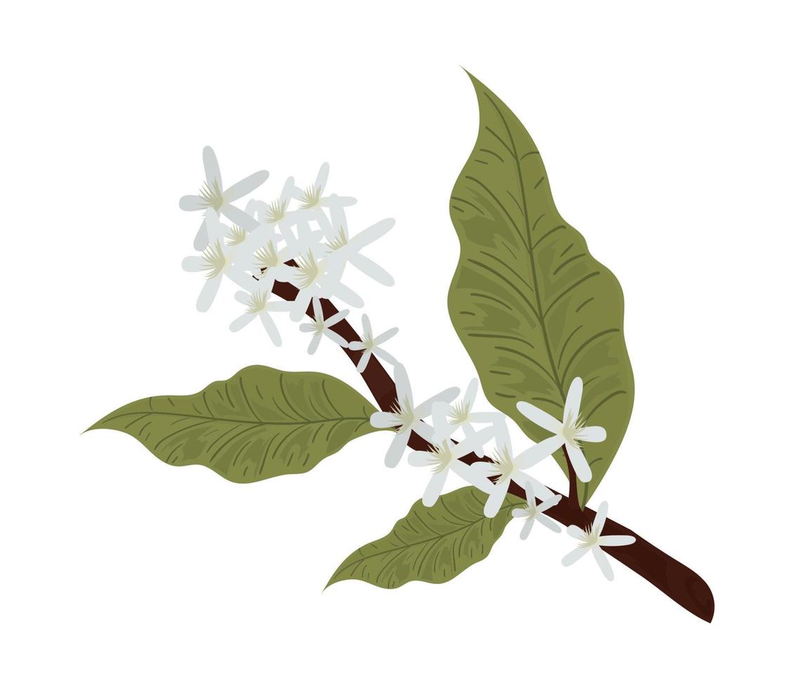 branch tree and flowers vector