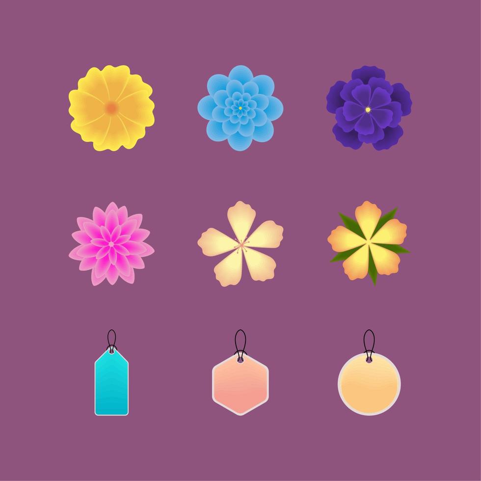 flowers spring and labels vector