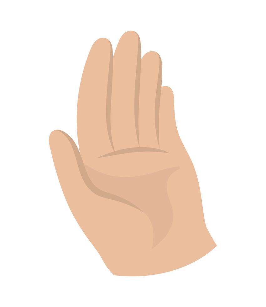 human hand showing palm vector