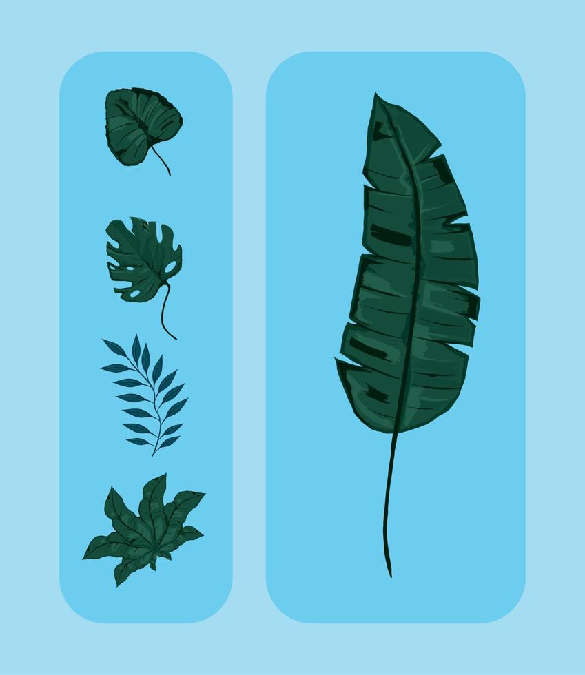 set of leaves nature vector