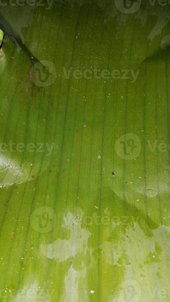Traditional Indonesian food has been eaten. 10969690 Stock Photo at