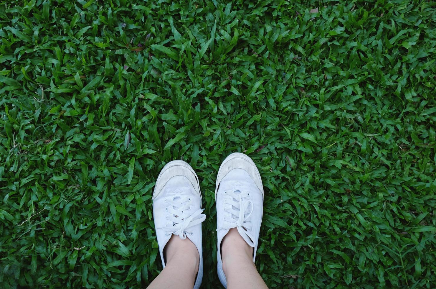 Selfie of feet in sneakers shoes on green grass background with copy space, spring and summer concept photo