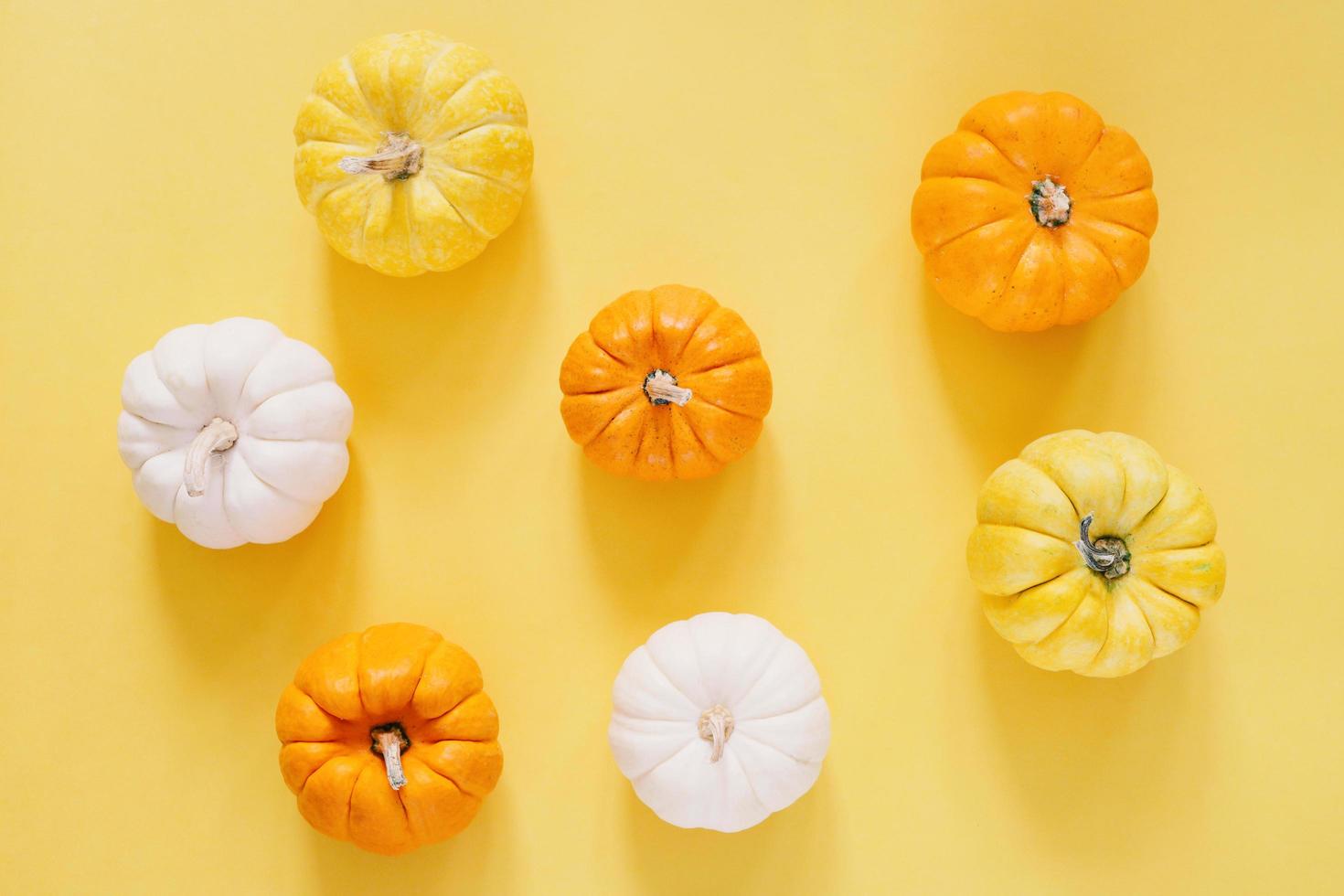 estilo plano de calabazas orgánicas frescas sobre fondo amarillo, halloween y concepto de acción de gracias foto