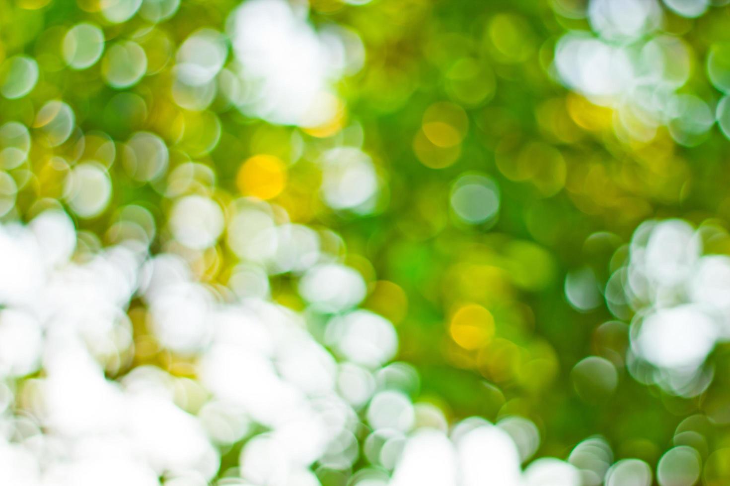 Abstract bokeh background photo