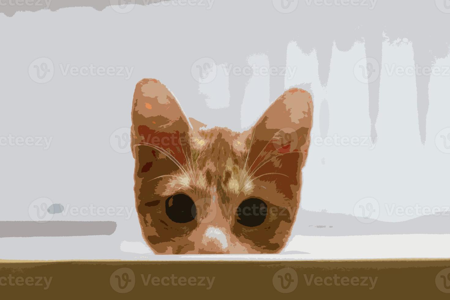 el gato curioso se esconde y asoma. cabeza de gatito con patas hacia arriba asomándose por un cartel en blanco. gatito mascota curiosamente mirando detrás de un fondo gris. gato atigrado que muestra una plantilla de cartel. foto