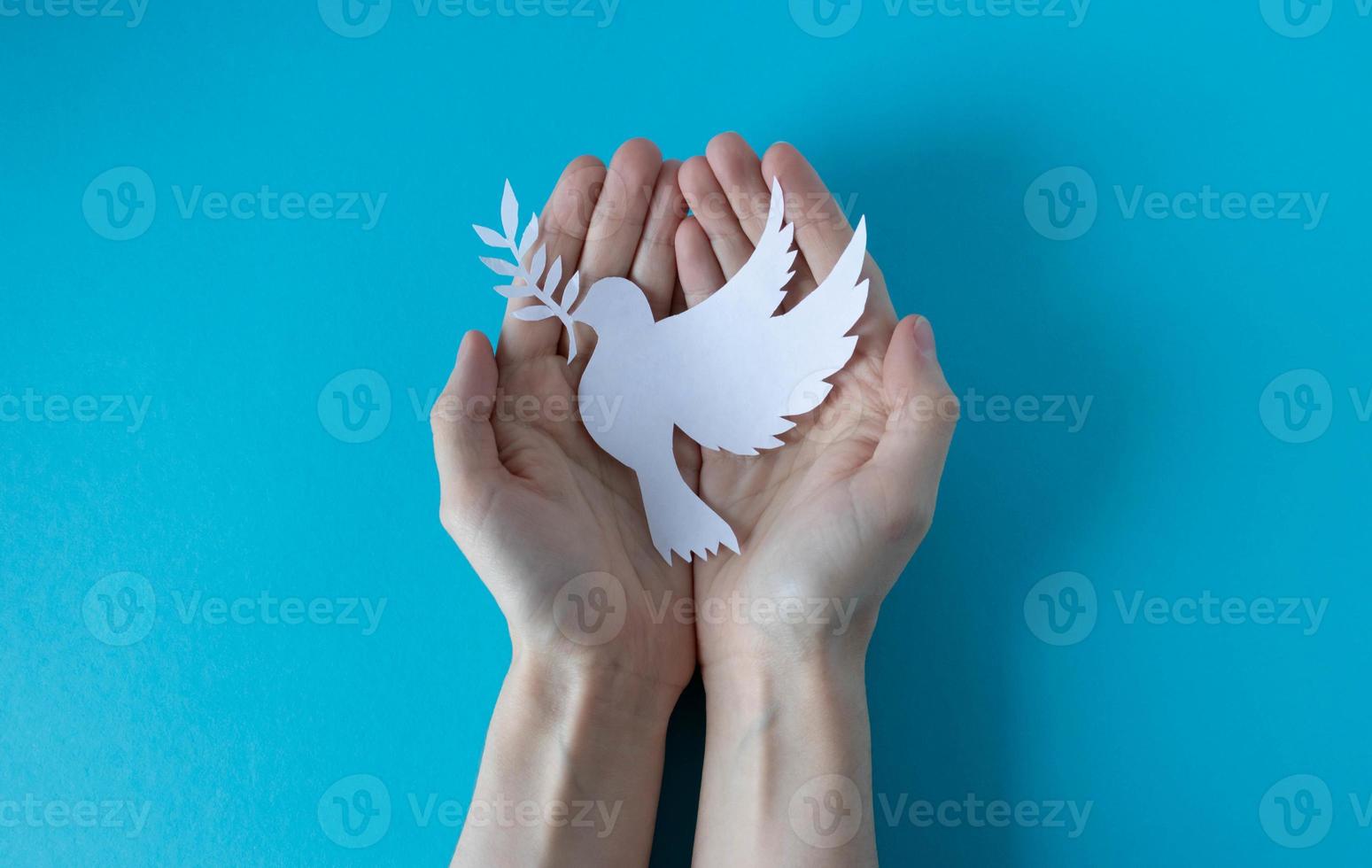 Hands holding a paper white pigeon on a blue background. World Peace Day. World Science Day for Peace and Development. photo