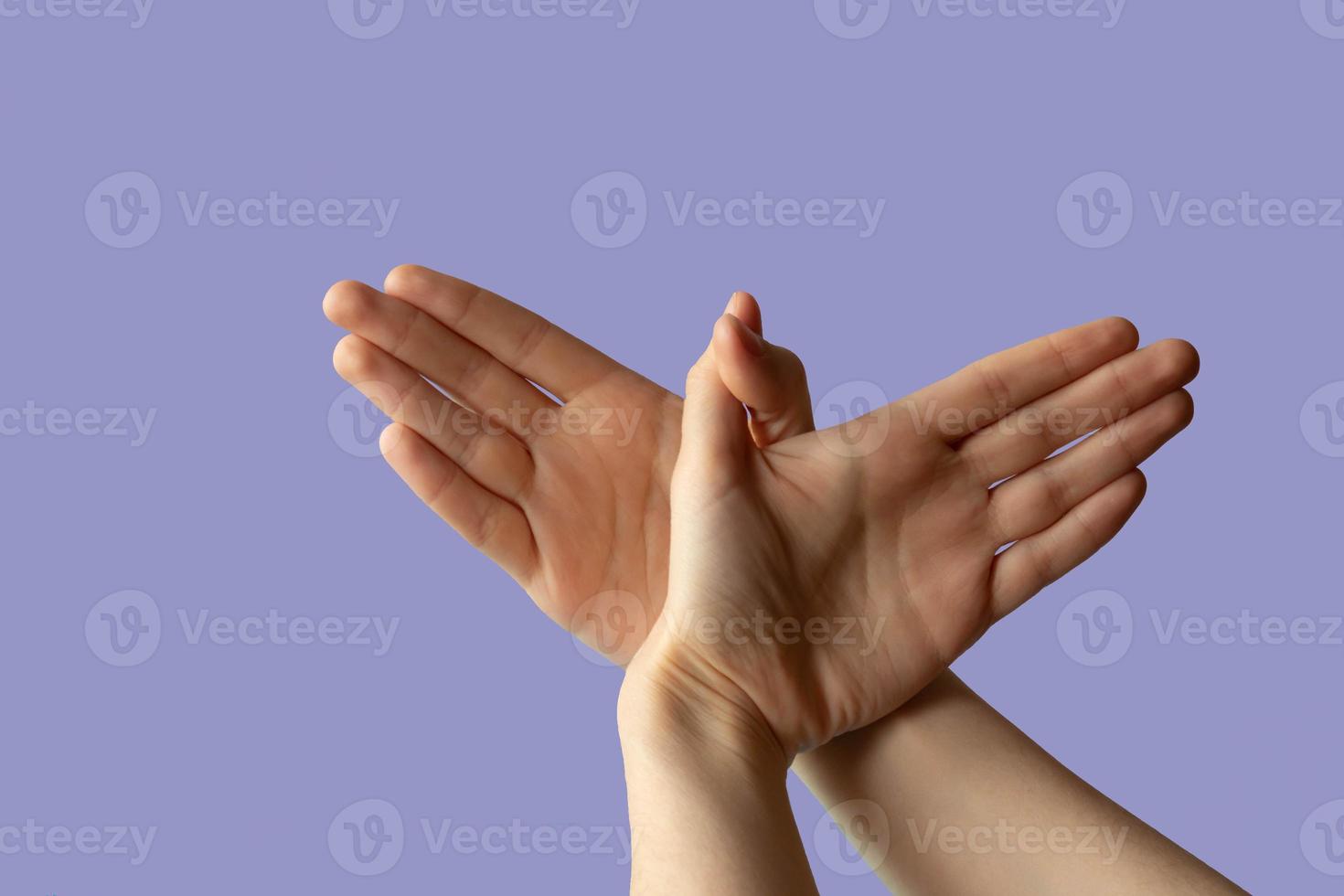 Silhouette of a hand gesture similar to a bird flying on a lilac background photo