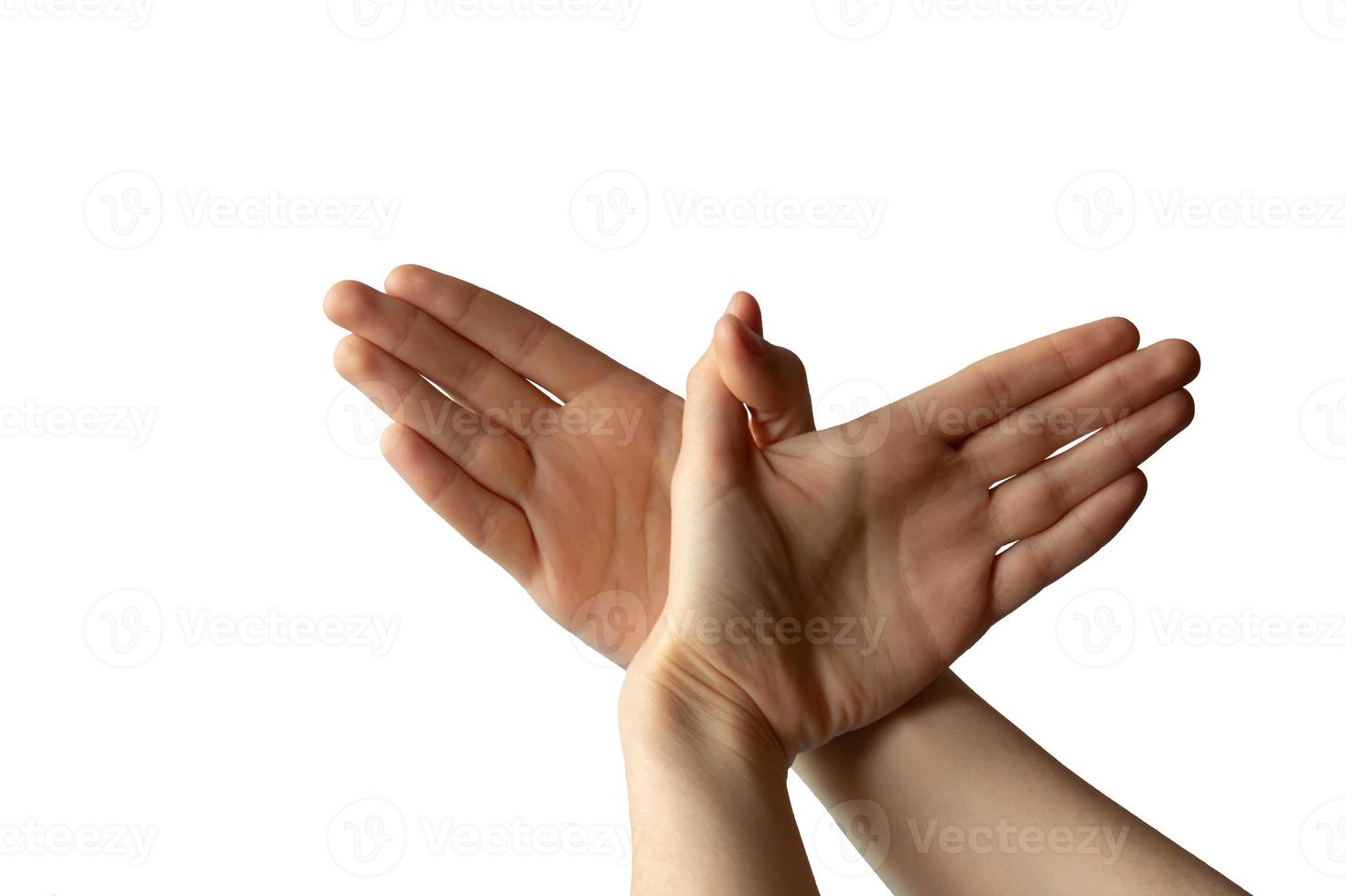 Silhouette of a hand gesture similar to a bird flying on a white background photo