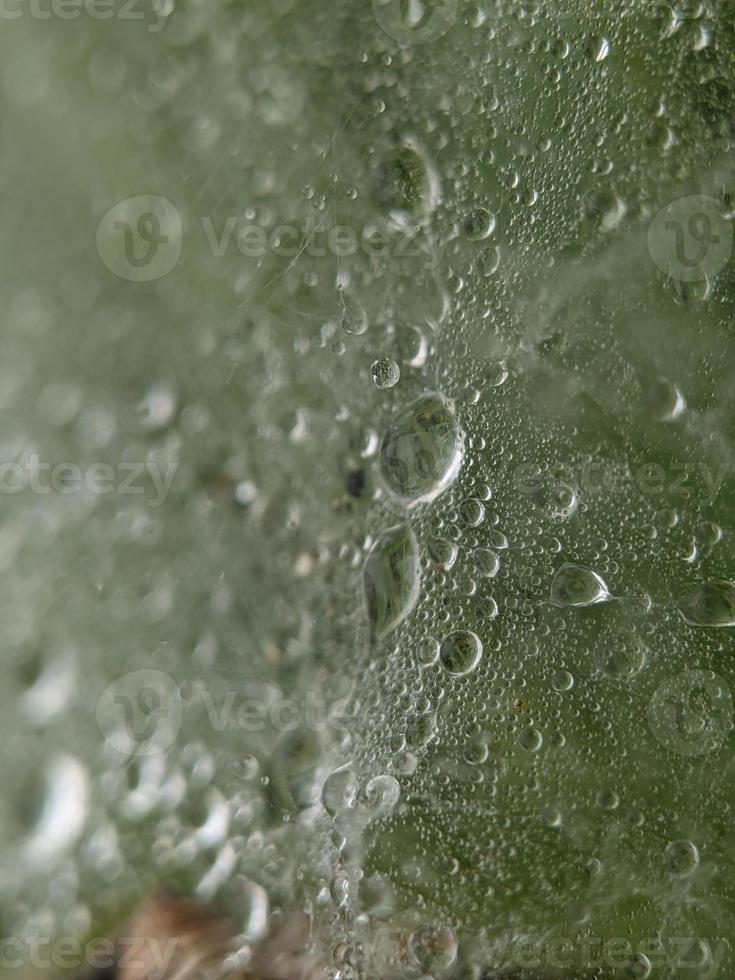 Dewdrops on spider web in the morning, macro photography, extreme close up photo