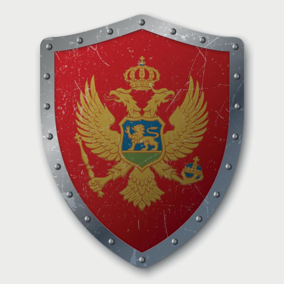 viejo escudo con bandera vector