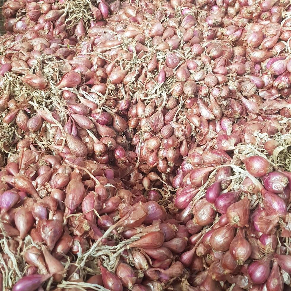 A bunch of red onions or shallots that are still fresh after being  harvested. 10972013 Stock Photo at Vecteezy