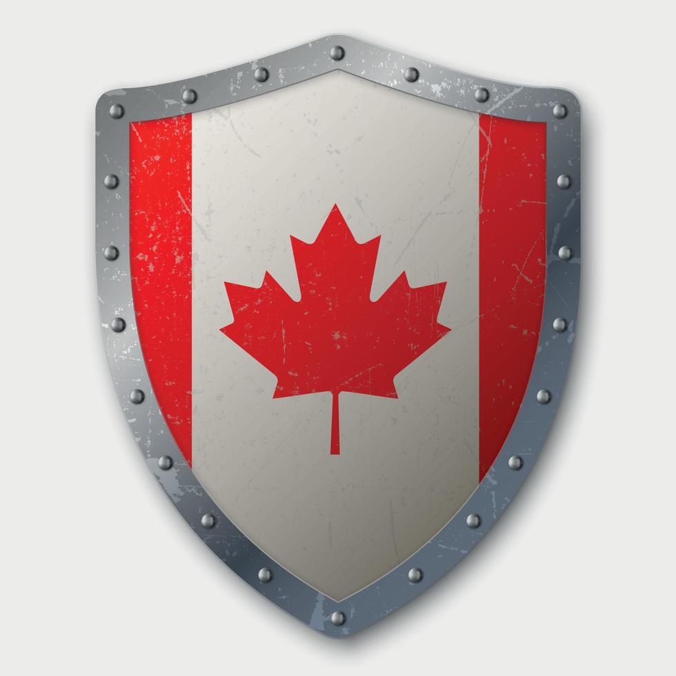 Old Shield with Flag vector