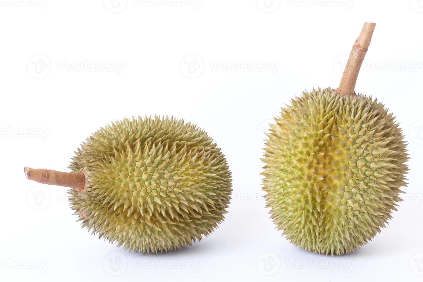Durian as a king of fruit in Thailand.  It has strong odor and thorn-covered rind. photo