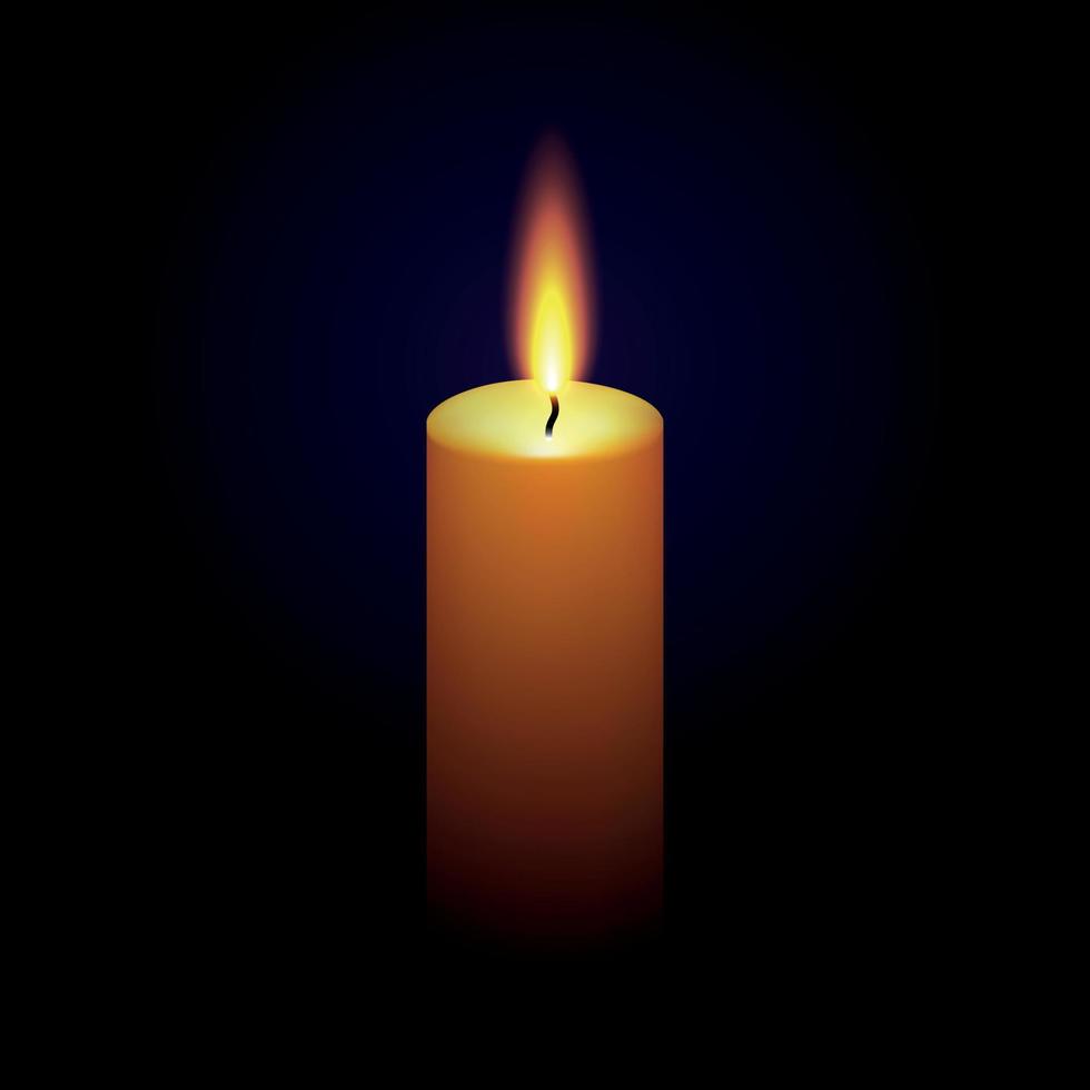 realistic paraffin burning candle vector