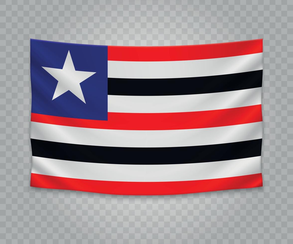 Realistic hanging flag vector