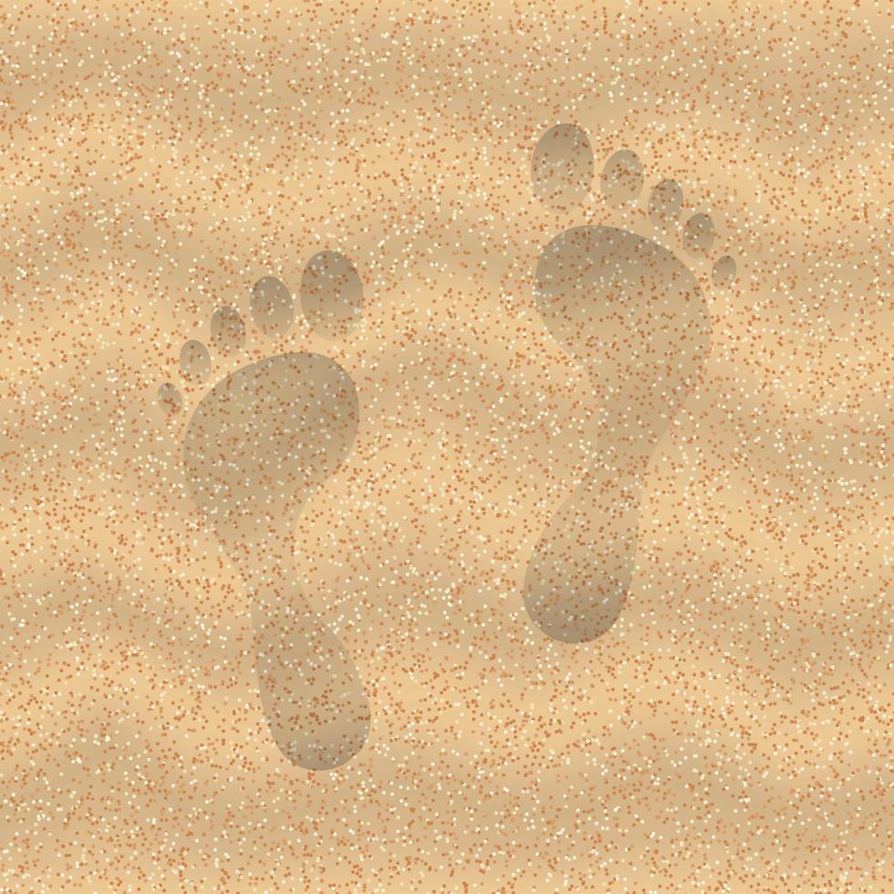 Sand of the beach vector