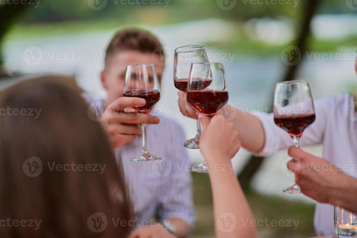 amigos brindando con una copa de vino tinto mientras hacen un picnic cena francesa foto