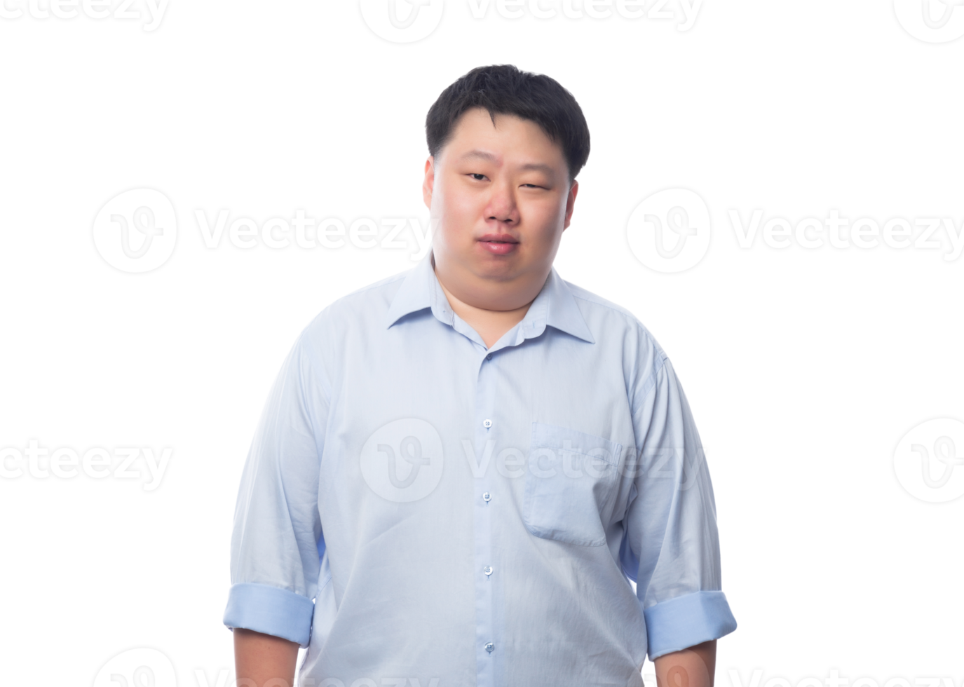 Asian business fat man, Png file