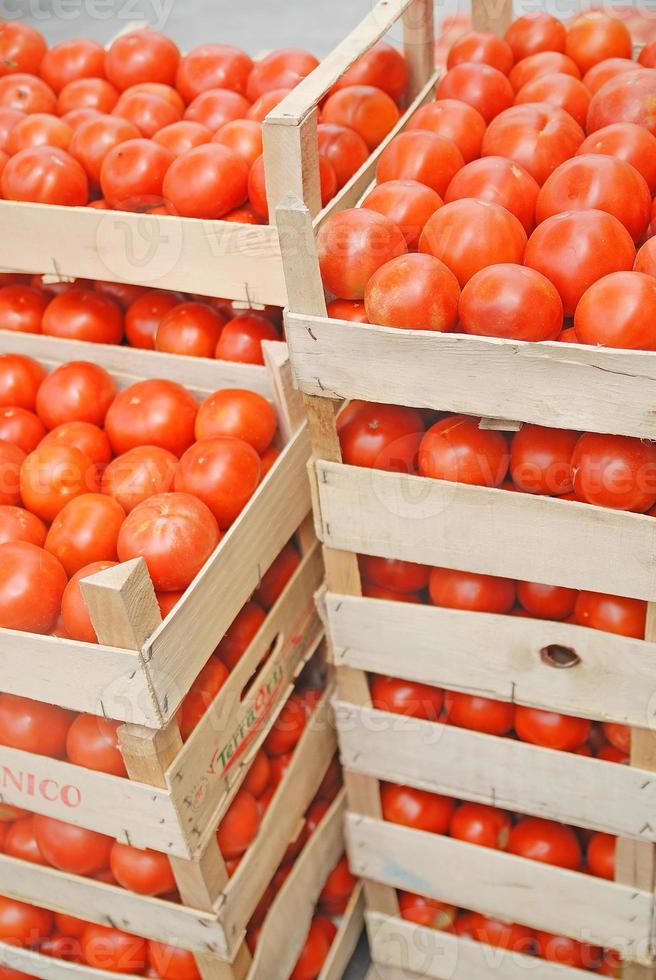 Bunch of tomatoes photo