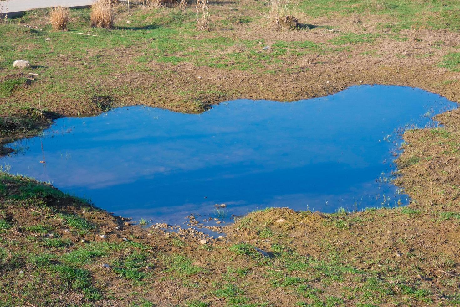 Wetlands in the vicinity of a river photo