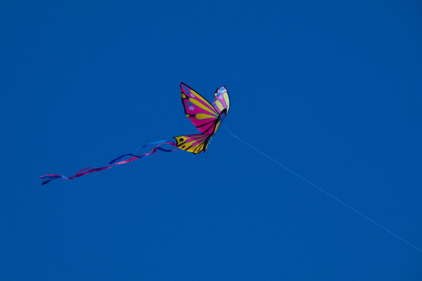 colourful kite flying under the blue sky photo