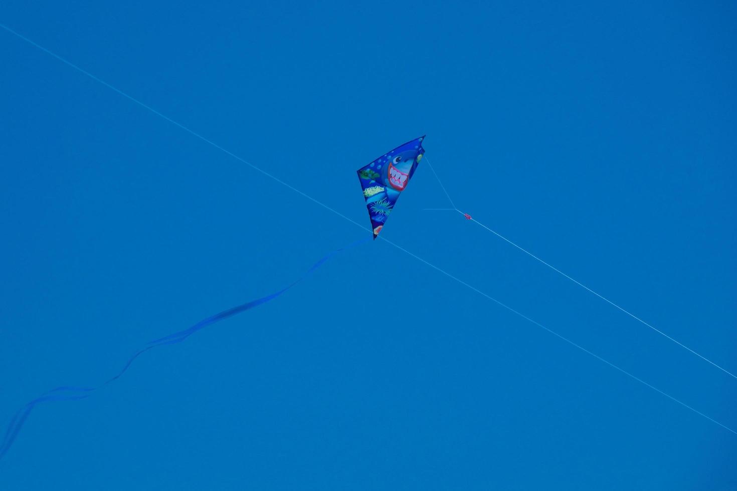 colourful kite flying under the blue sky photo