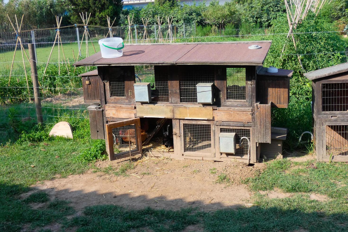 Poultry houses are the houses where hens lay their eggs. photo