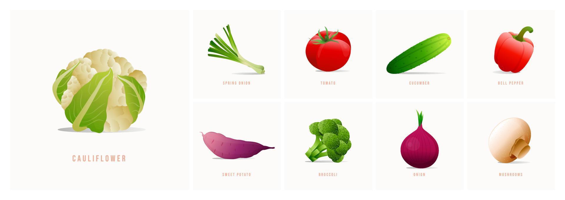 Vector vegetables icons set in Modern style. Collection farm product for restaurant menu, market label.