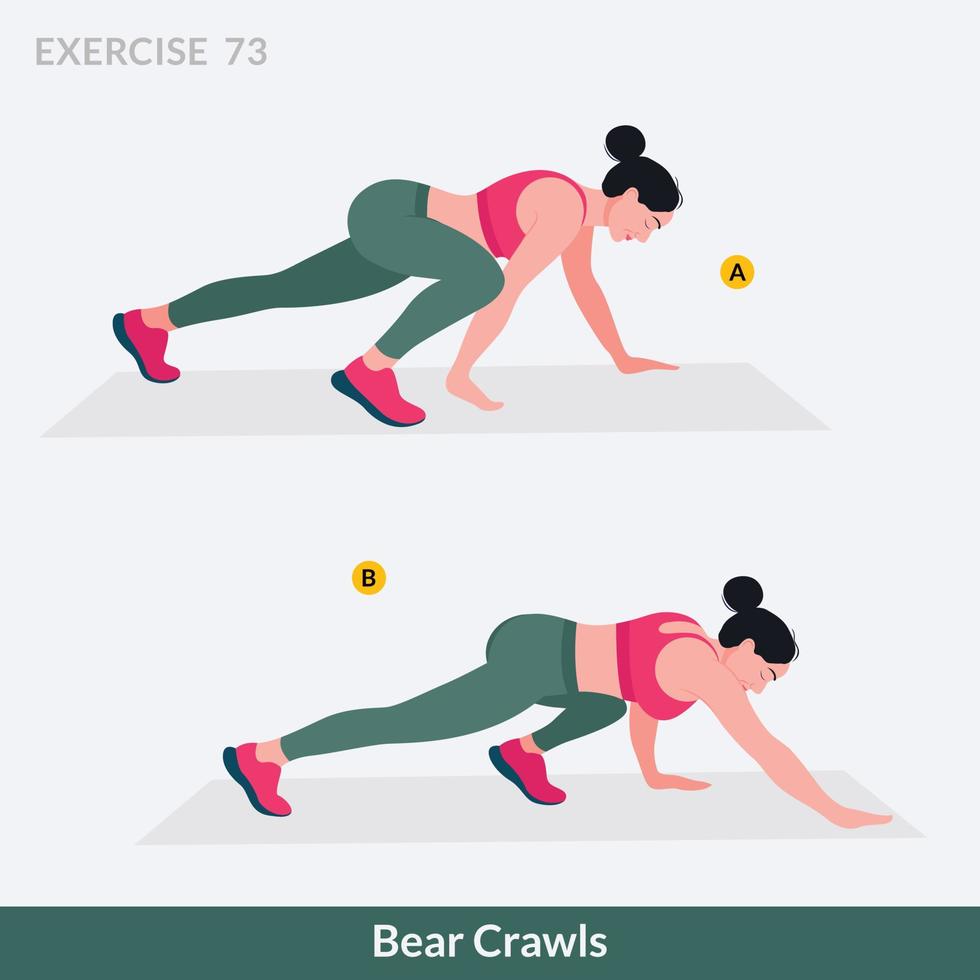 Bear Crawls exercise, Woman workout fitness, aerobic and exercises. vector