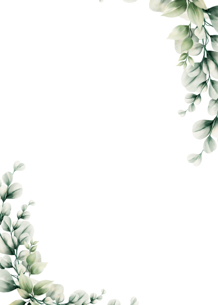 vattenfärg eukalyptus blad ram png