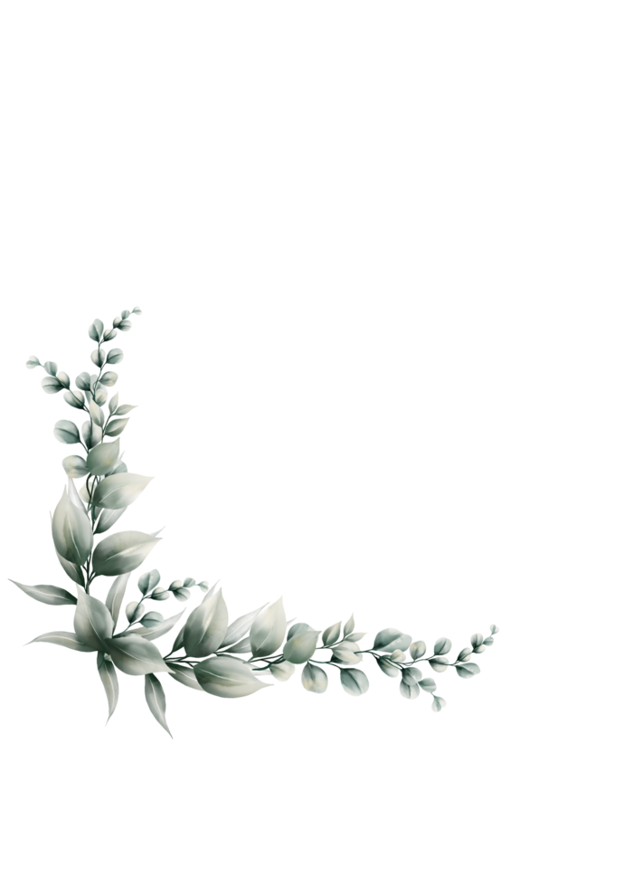 Aquarell Eukalyptusblatt png
