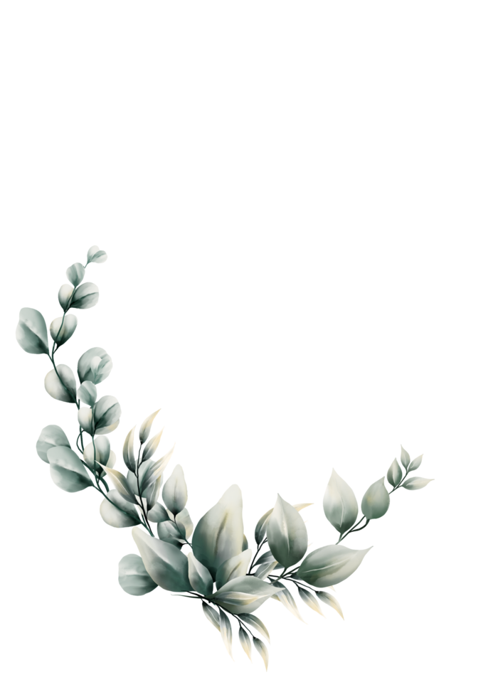 waterverf eucalyptus blad png