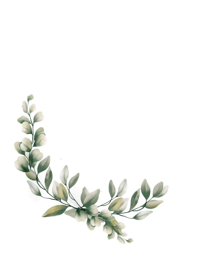 Watercolor eucalyptus leaf png