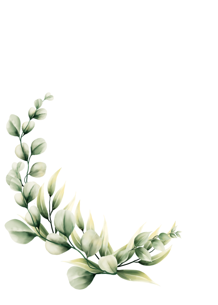 vattenfärg eukalyptus blad png