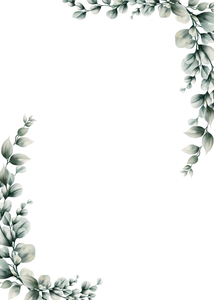 moldura de folha de eucalipto em aquarela png